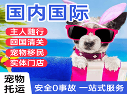 毕节飞雄机场快运国际宠物托运 【国